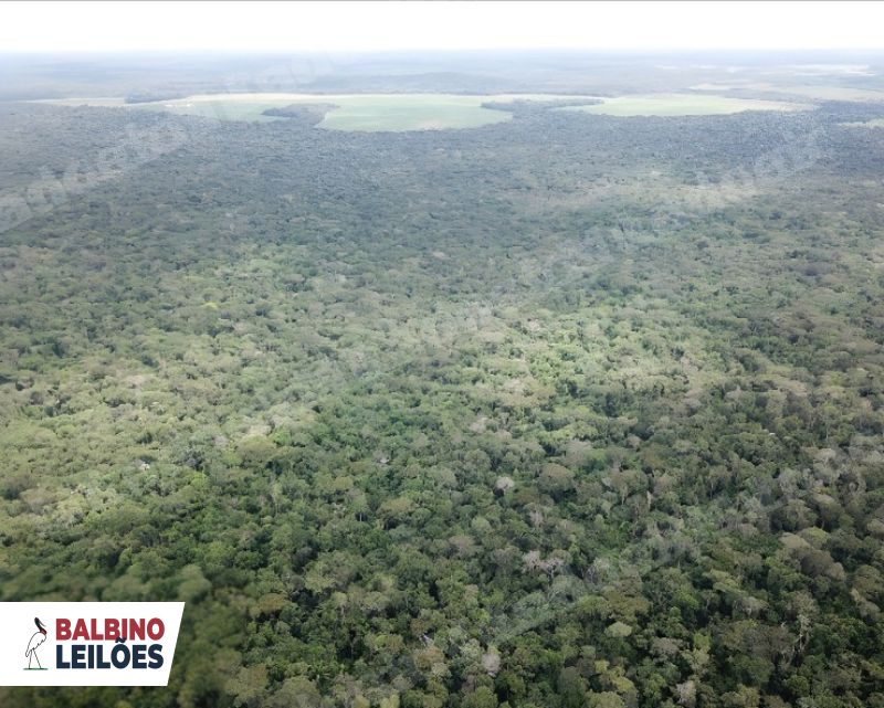 Terreno em leilao em Gaúchos/MT