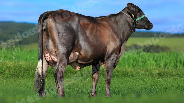 Lote em leilao em Estrela do Indaiá/MG - Lote 6