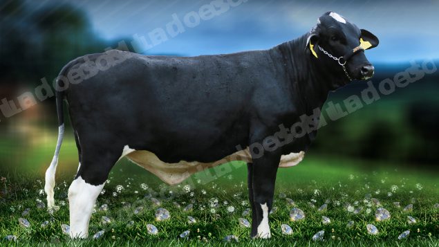 Lote em leilão em Brasil - Lote 30