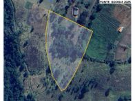 Terreno em leilão em Campestre/MG - Lote 2