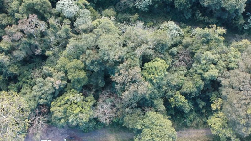 Terreno em leilao em Erechim/RS