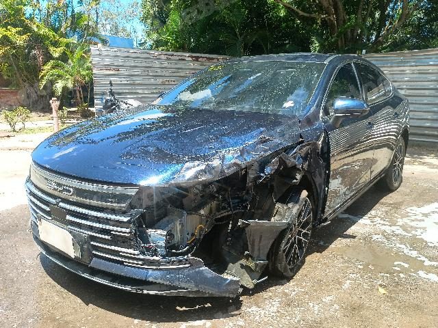 Byd 2025 em leilão em Brasil