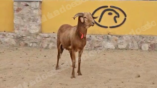 Terreno em leilao em Taperoá/PB