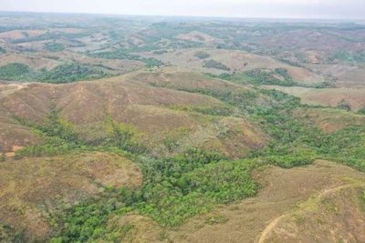 Terreno em leilão em Bambuí/MG