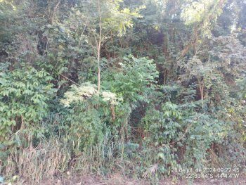 Imovel de 300 m2 em leilao em Pinheiral/RJ