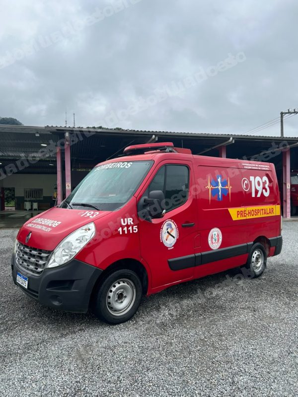 Lote em leilao em Brasil - Lote 310