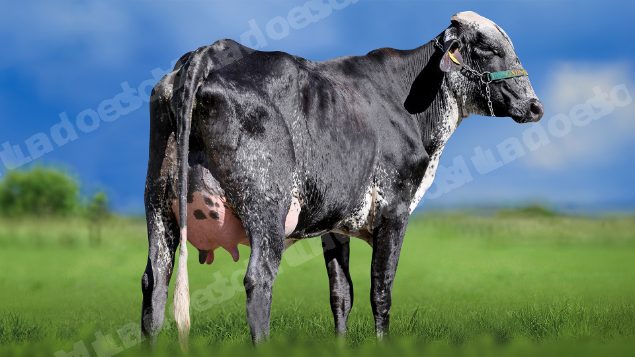 Lote em leilao em Miradouro/MG