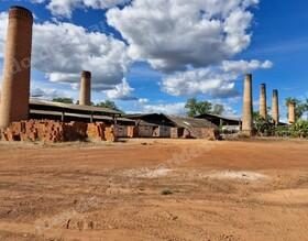 Lote em leilão em Brasil - Lote 349