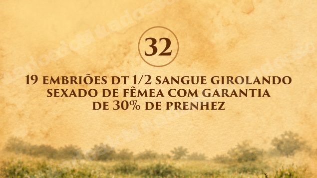 Lote em leilão em Cachoeira de Macacu/RJ - Lote 9