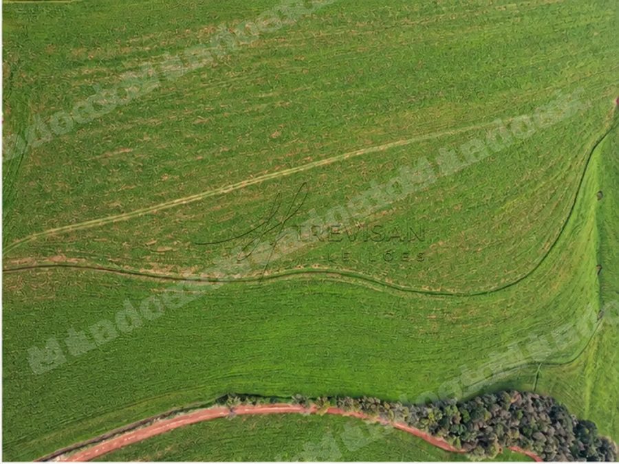 Terreno em leilão em Brasil - Lote 75