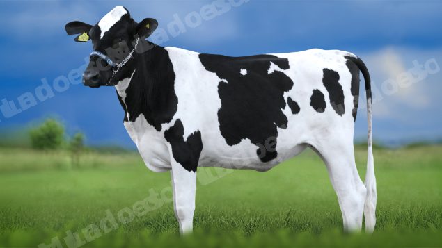 Lote em leilao em Igaratinga/MG - Lote 9