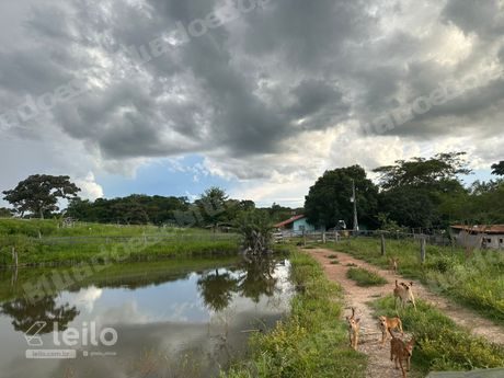 Imovel rural em leilao em Israelandia/GO