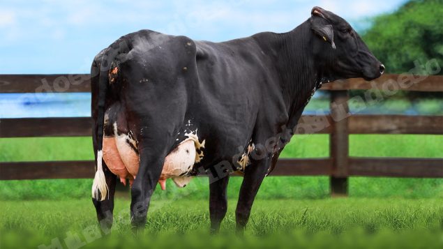 Lote em leilao em Itirapuã/SP - Lote 15