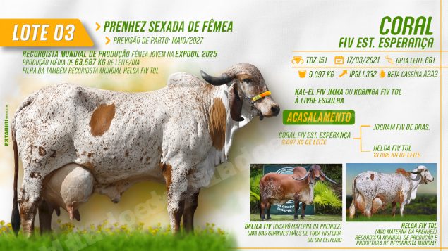 Lote em leilão em Jales/SP - Lote 6