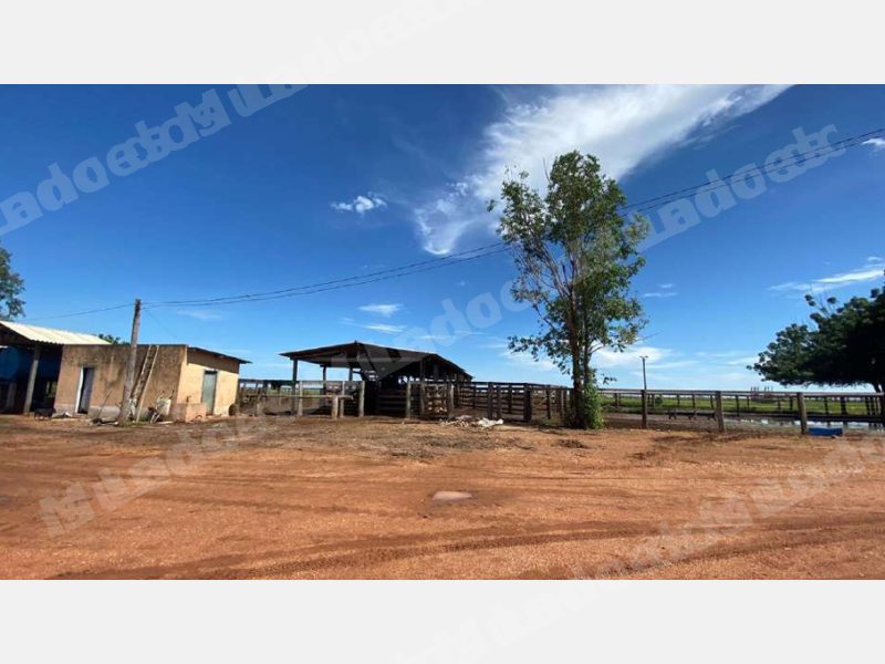 Imovel rural em leilao em Goiás Goiânia/GO