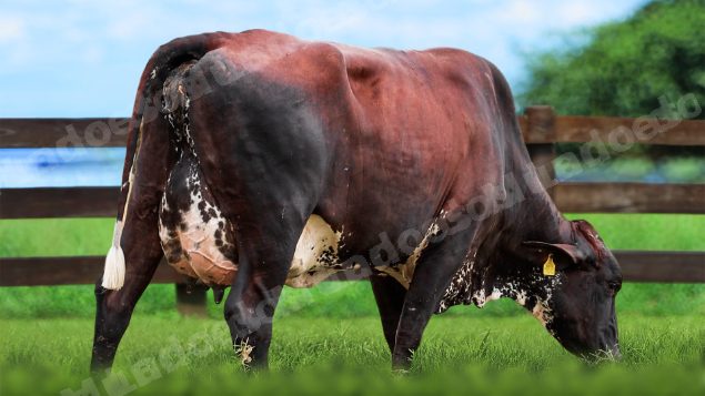 Lote em leilao em Itirapuã/SP - Lote 16