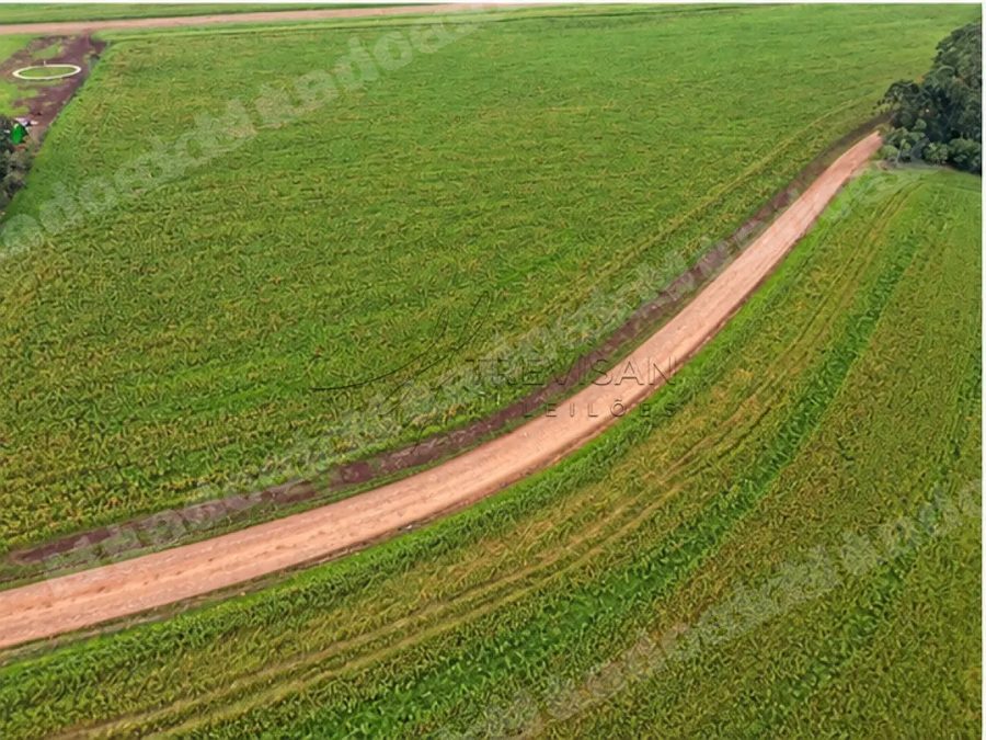 Terreno em leilão em Brasil - Lote 89