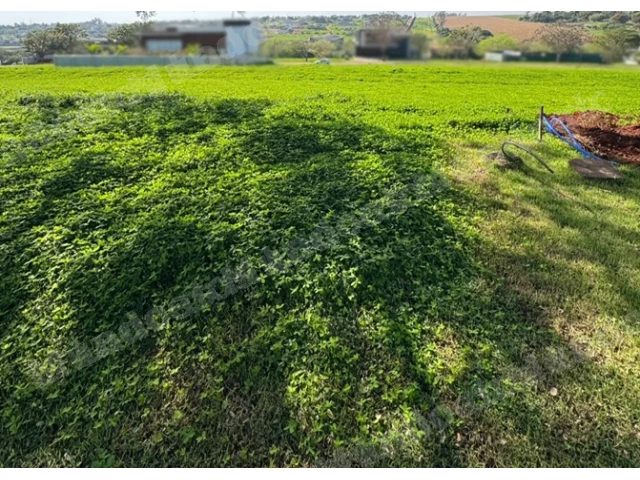 Terreno de 587 m2 em leilão em Maringá/PR