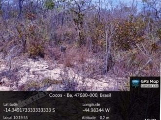 Imovel rural em leilao em Cocos/BA