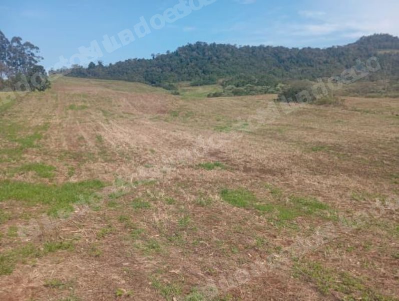 Terreno de 100000 m2 em leilão em Frederico Westphalen/RS