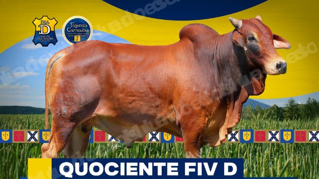 Lote em leilao em Brasil