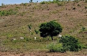 Imovel em leilao em Brasil