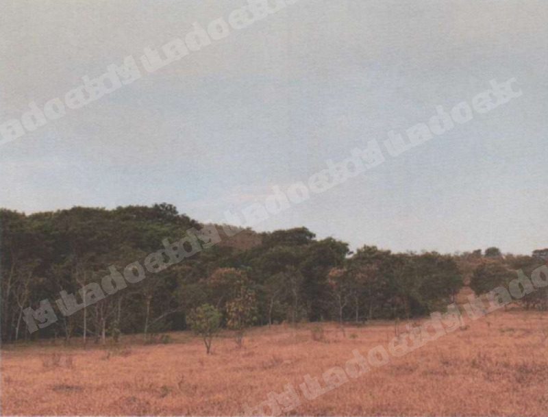 Imovel rural em leilao em Patrocínio/MG