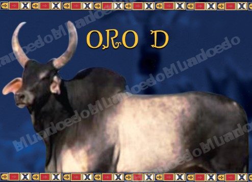 Lote em leilao em Brasil