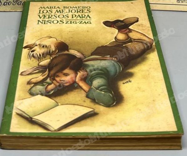 Lote em leilao em Brasil