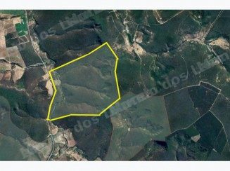 Imovel rural em leilao em Volantes/MG