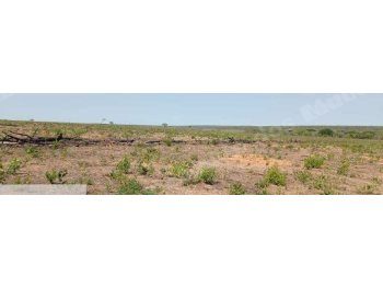 Imovel rural em leilao em Baianópolis/BA