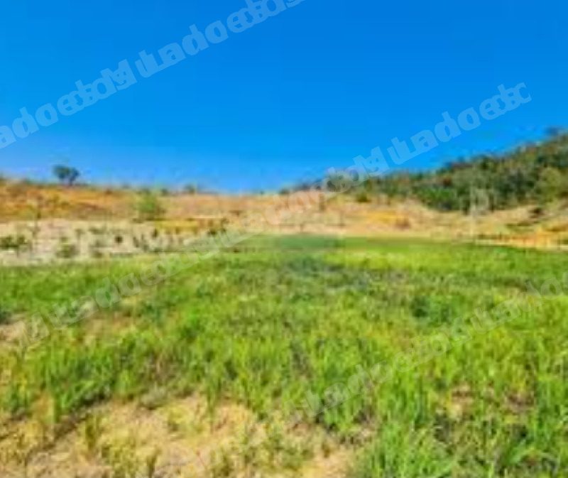 Imovel em leilao em Patrocínio/MG