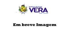 Veiculo em leilao em Vera/MT