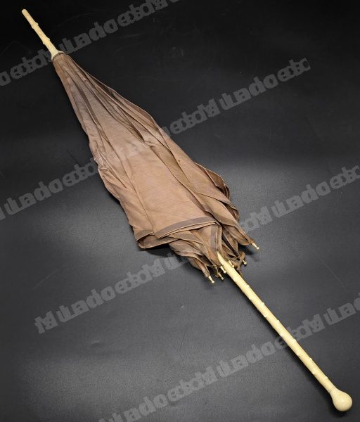 Lote em leilao em Brasil