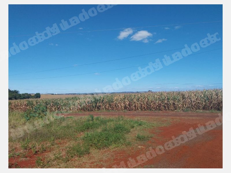 Lote em leilao em Itaipulândia/PR