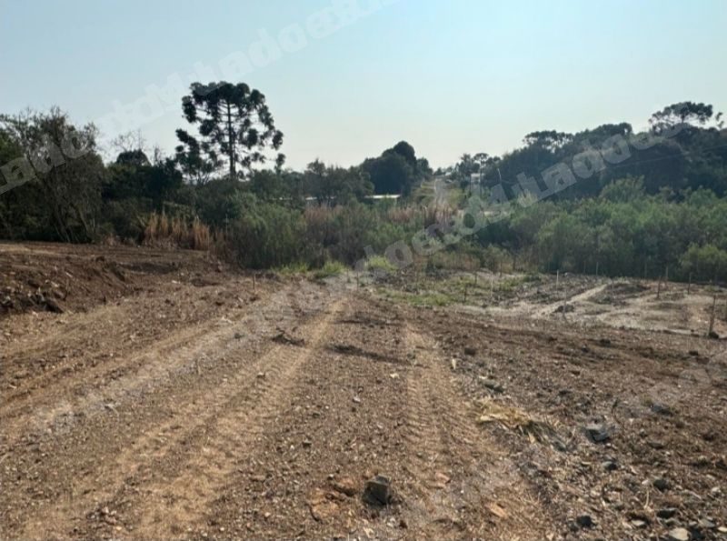 Terreno em leilao em Santa Cecília/SC