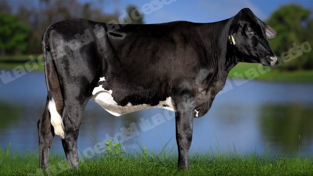 Lote em leilao em Carmo da Mata/MG
