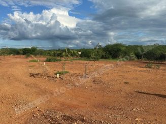 Terreno em leilao em Carnaiba/PE