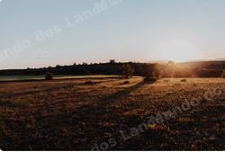 Terreno em leilao em Brasil - Lote 131