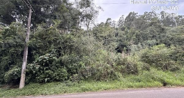 Terreno em leilao em SC
