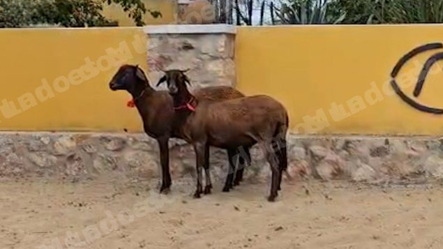 Terreno em leilao em Taperoá/PB