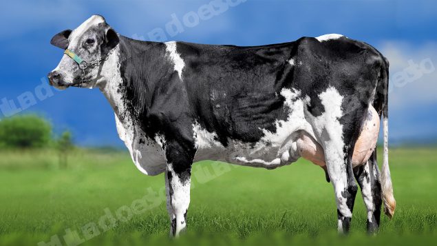 Lote em leilao em Miradouro/MG