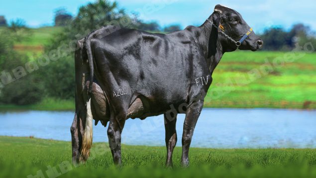 Lote em leilão em Brasil