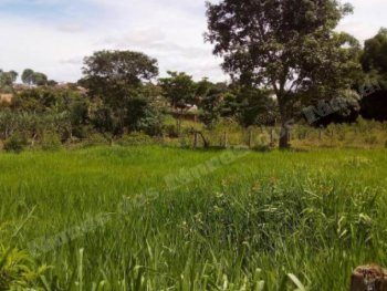 Imovel em leilao em Jaraguá/GO