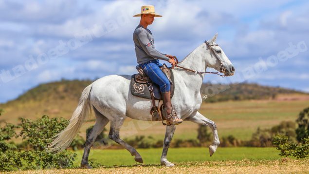 Terreno em leilao em Brasil