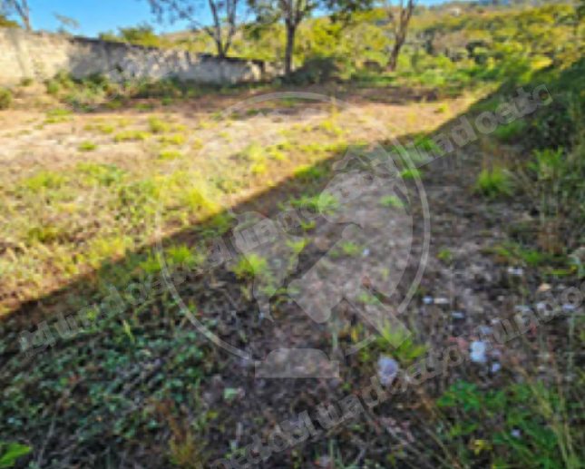 Terreno em leilao em Brasília/DF