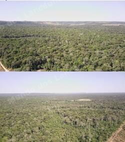 Terreno em leilão em Juína/MT