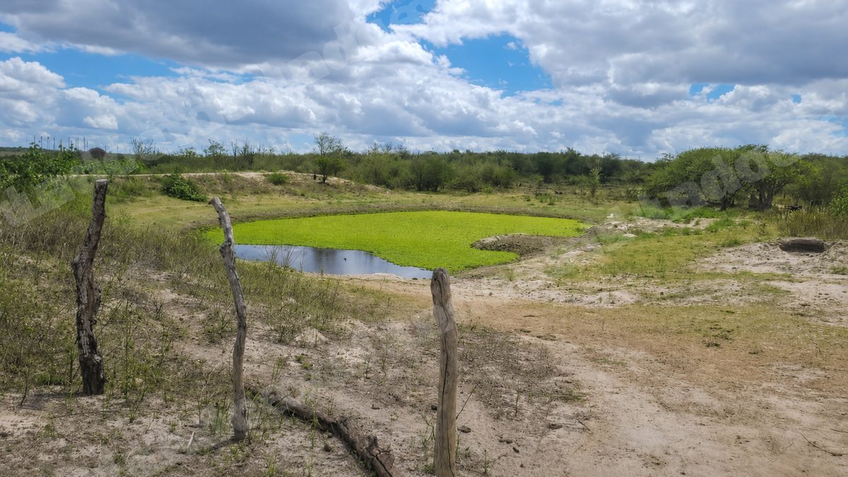 Terreno em leilao em Brasil