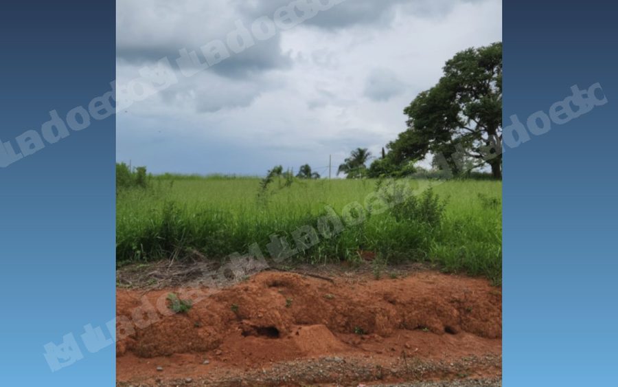 Terreno de 1000 m2 em leilão em Carmópolis de Minas/MG