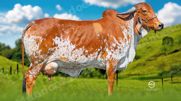 Veiculo em leilao em Passos/MG